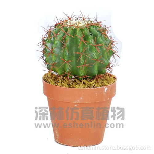 artificial cactus